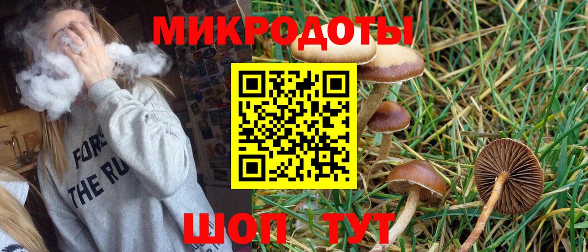 Галлюциногенные грибы Magic Shrooms  хочу   Галлюциногенные грибы GOLDEN TEACHER  Губкинский  Вход с VPN 